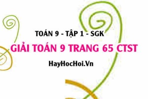 Giải Toán 9 trang 65 tập 1 Chân trời sáng tạo SGK
